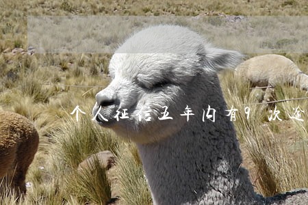 个人征信五年内有9次逾期