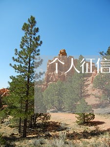 个人征信信用卡有逾期记录吗 个人征信信用卡有逾期记录吗