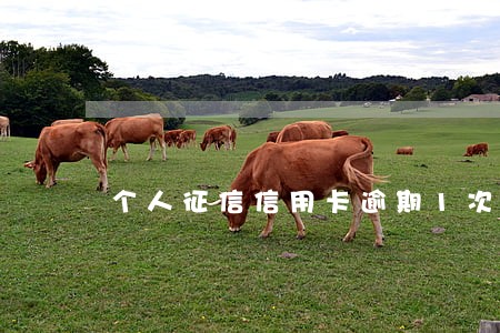 个人征信信用卡逾期1次 个人征信信用卡逾期1次