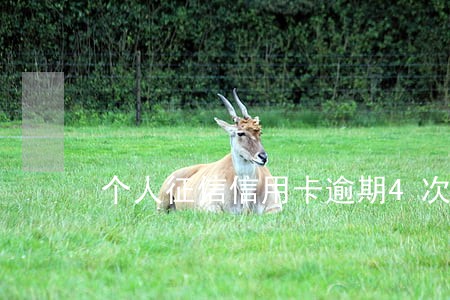 个人征信信用卡逾期4次 个人征信信用卡逾期4次