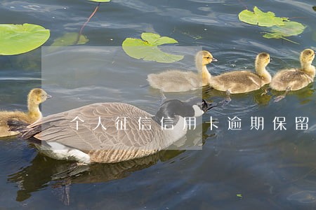个人征信信用卡逾期保留几年 个人征信信用卡逾期保留几年