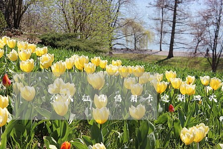 个人征信信用卡逾期四次 个人征信信用卡逾期四次