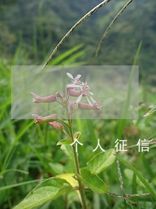 个人征信信用卡逾期如何消 个人征信信用卡逾期如何消