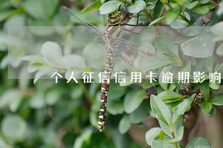 个人征信信用卡逾期影响贷款 个人征信信用卡逾期影响贷款