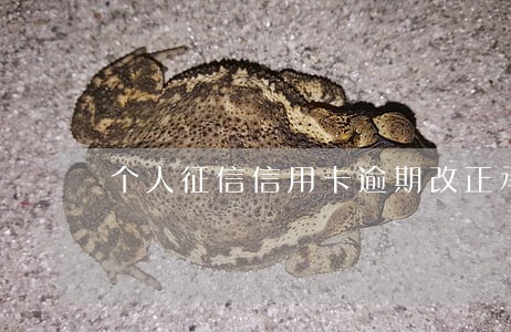 个人征信信用卡逾期改正承诺书 个人征信信用卡逾期改正承诺书