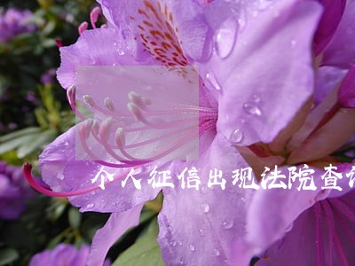 个人征信出现法院查询怎么回事 个人征信出现法院查询怎么回事