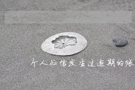个人征信发生过逾期的账户数5 个人征信发生过逾期的账户数5
