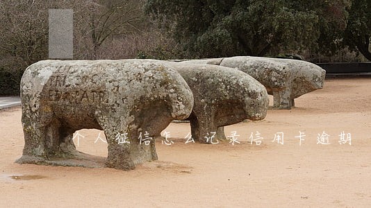 个人征信怎么记录信用卡逾期 个人征信怎么记录信用卡逾期