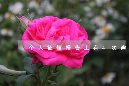 个人征信报告上有4次逾期 个人征信报告上有4次逾期