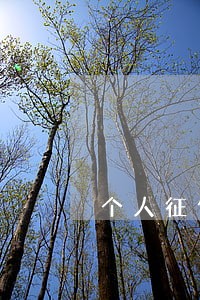 个人征信报告上逾期账户2 个人征信报告上逾期账户2