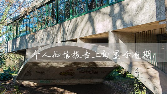 个人征信报告上面显示逾期1 个人征信报告上面显示逾期1