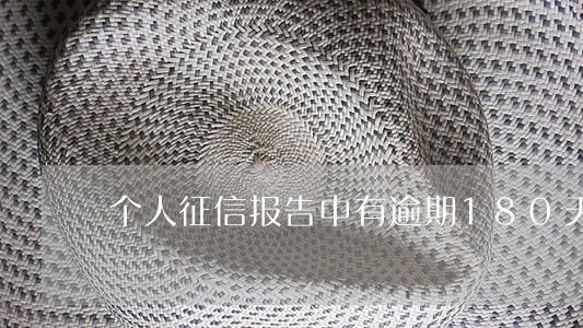 个人征信报告中有逾期180天