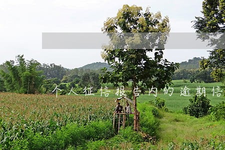 个人征信报告内的逾期信用卡