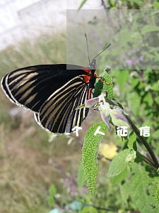 个人征信报告显示逾期0 个人征信报告显示逾期0