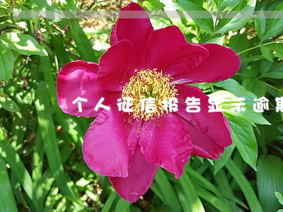 个人征信报告显示逾期1 个人征信报告显示逾期1