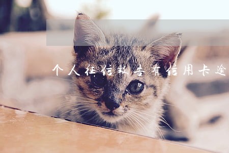 个人征信报告有信用卡逾期记录 个人征信报告有信用卡逾期记录
