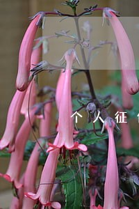 个人征信报告连续3次逾期 个人征信报告连续3次逾期