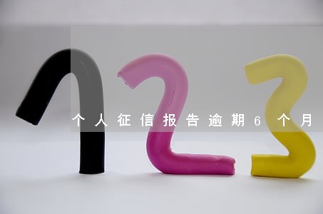 个人征信报告逾期6个月1 个人征信报告逾期6个月1