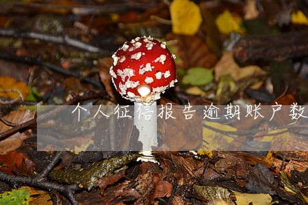 个人征信报告逾期账户数为0 个人征信报告逾期账户数为0