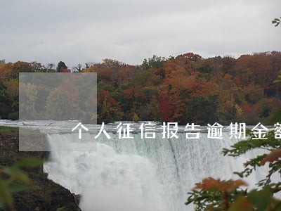 个人征信报告逾期金额100 个人征信报告逾期金额100