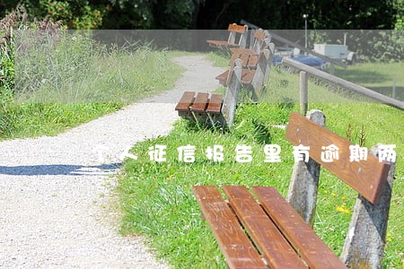 个人征信报告里有逾期两个1