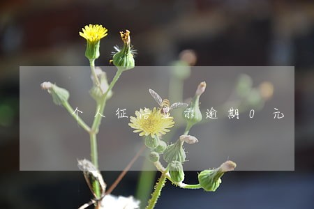 个人征信显示逾期0元 个人征信显示逾期0元