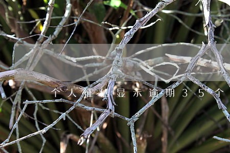 个人征信显示逾期35个月 个人征信显示逾期35个月