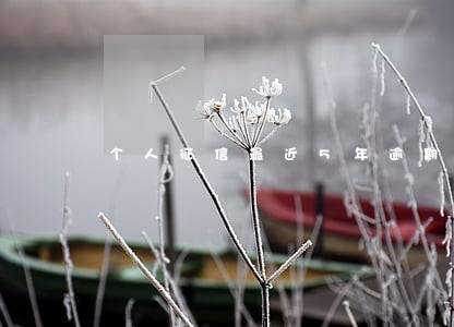 个人征信最近5年逾期记录 个人征信最近5年逾期记录