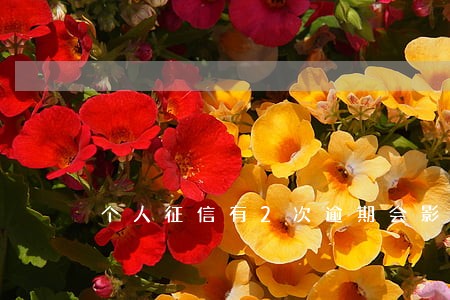 个人征信有2次逾期会影响买房吗 个人征信有2次逾期会影响买房吗