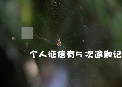 个人征信有5次逾期记录 个人征信有5次逾期记录