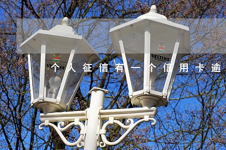个人征信有一个信用卡逾期