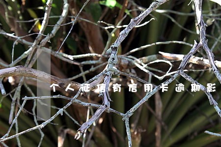 个人征信有信用卡逾期影响贷款