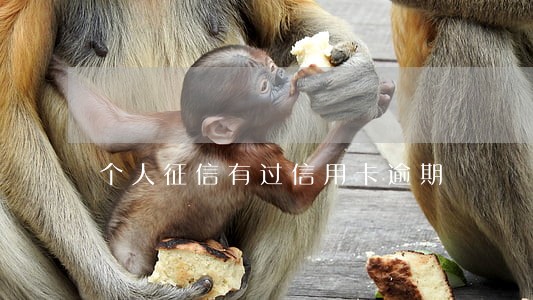 个人征信有过信用卡逾期