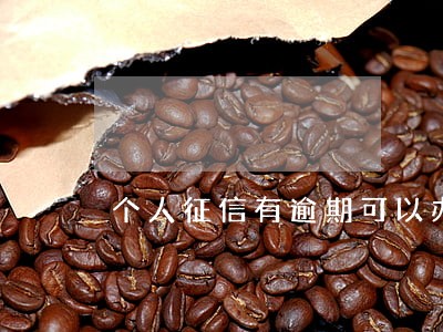 个人征信有逾期可以办车贷款 个人征信有逾期可以办车贷款