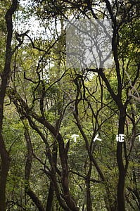 个人征信有逾期能贷款 个人征信有逾期能贷款