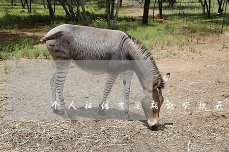 个人征信有逾期能贷款买房 个人征信有逾期能贷款买房