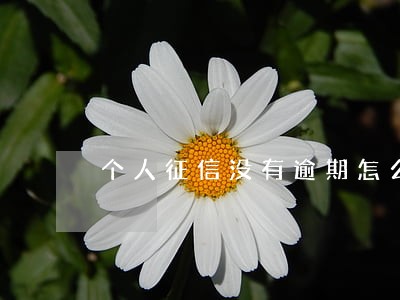 个人征信没有逾期怎么办信用卡