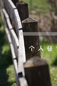 个人征信记录5年内6个月逾期 个人征信记录5年内6个月逾期