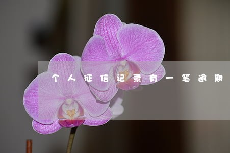 个人征信记录有一笔逾期信用卡 个人征信记录有一笔逾期信用卡