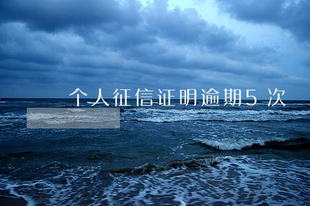 个人征信证明逾期5次 个人征信证明逾期5次