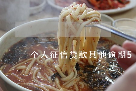 个人征信贷款其他逾期5次 个人征信贷款其他逾期5次