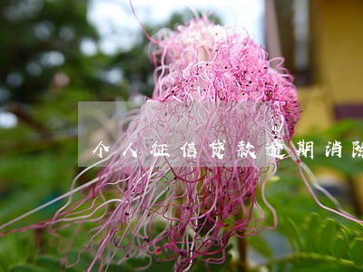 个人征信贷款逾期消除 个人征信贷款逾期消除