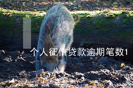 个人征信贷款逾期笔数1 个人征信贷款逾期笔数1