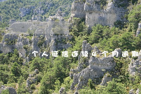 个人征信连续4个月逾期 个人征信连续4个月逾期