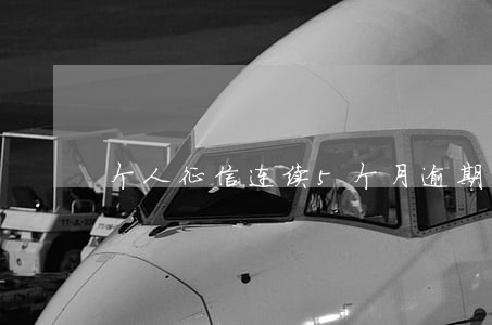 个人征信连续5个月逾期 个人征信连续5个月逾期