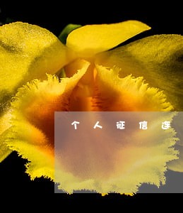 个人征信连续5年7个月逾期 个人征信连续5年7个月逾期
