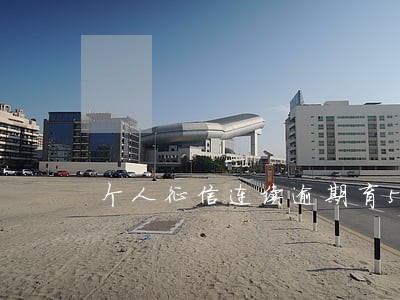 个人征信连续逾期育5个月 个人征信连续逾期育5个月