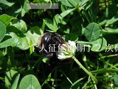 个人征信逾期12次恢复