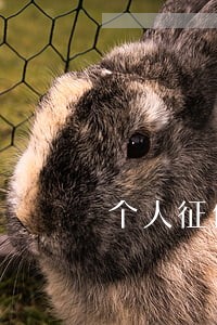 个人征信逾期12次想买房怎么办 个人征信逾期12次想买房怎么办