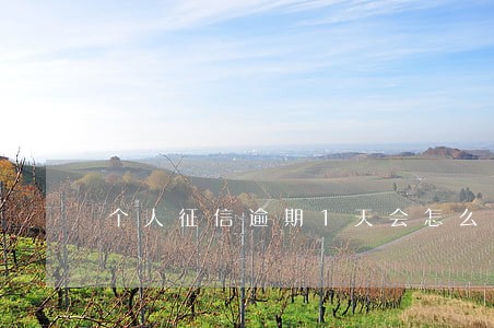 个人征信逾期1天会怎么样 个人征信逾期1天会怎么样